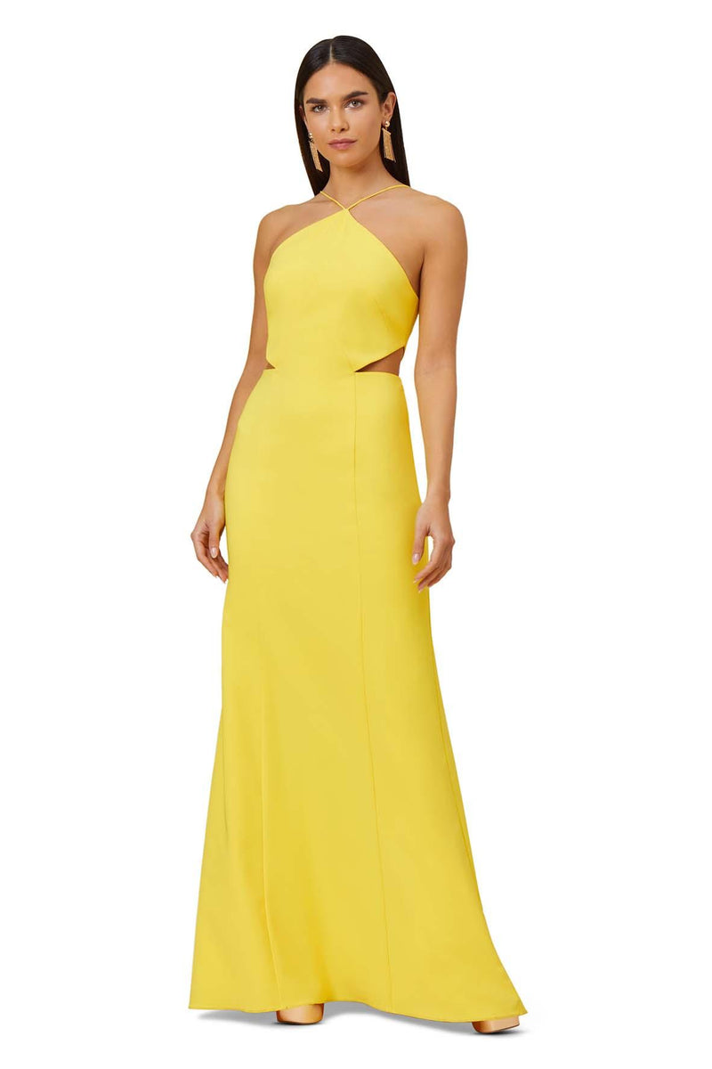 Stretch Crepe Long Halter Mermaid Dress With Cutouts Style Theory SG