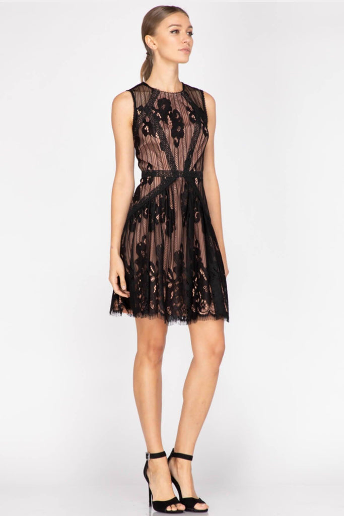 Trina Woven Lace Fit & Flare - Adelyn Rae