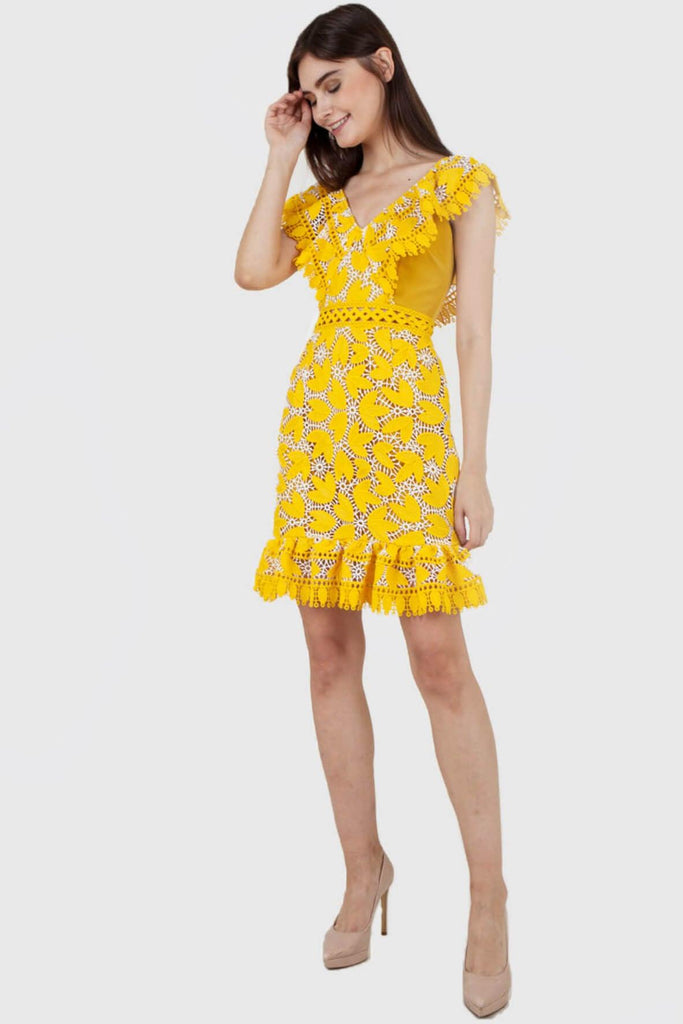 Marianna Embroidered Ruffled Dress Yellow - Aijek